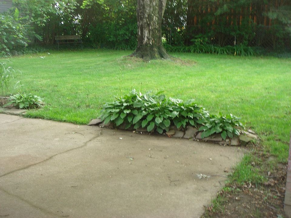 Backyard Oasis - Picnick area