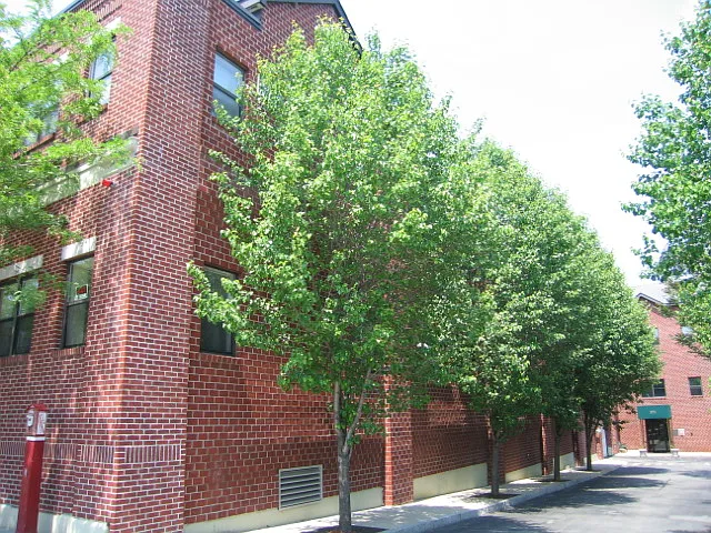 375 Highland Ave