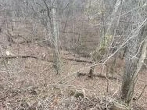 20328 Hubbard Rd, Battle Creek, MI 49017