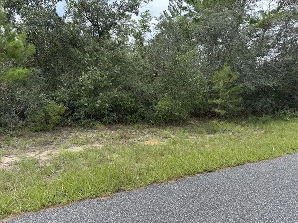 4282 W THRUSH DRIVE LOT 1, CITRUS SPRINGS, FL 34433