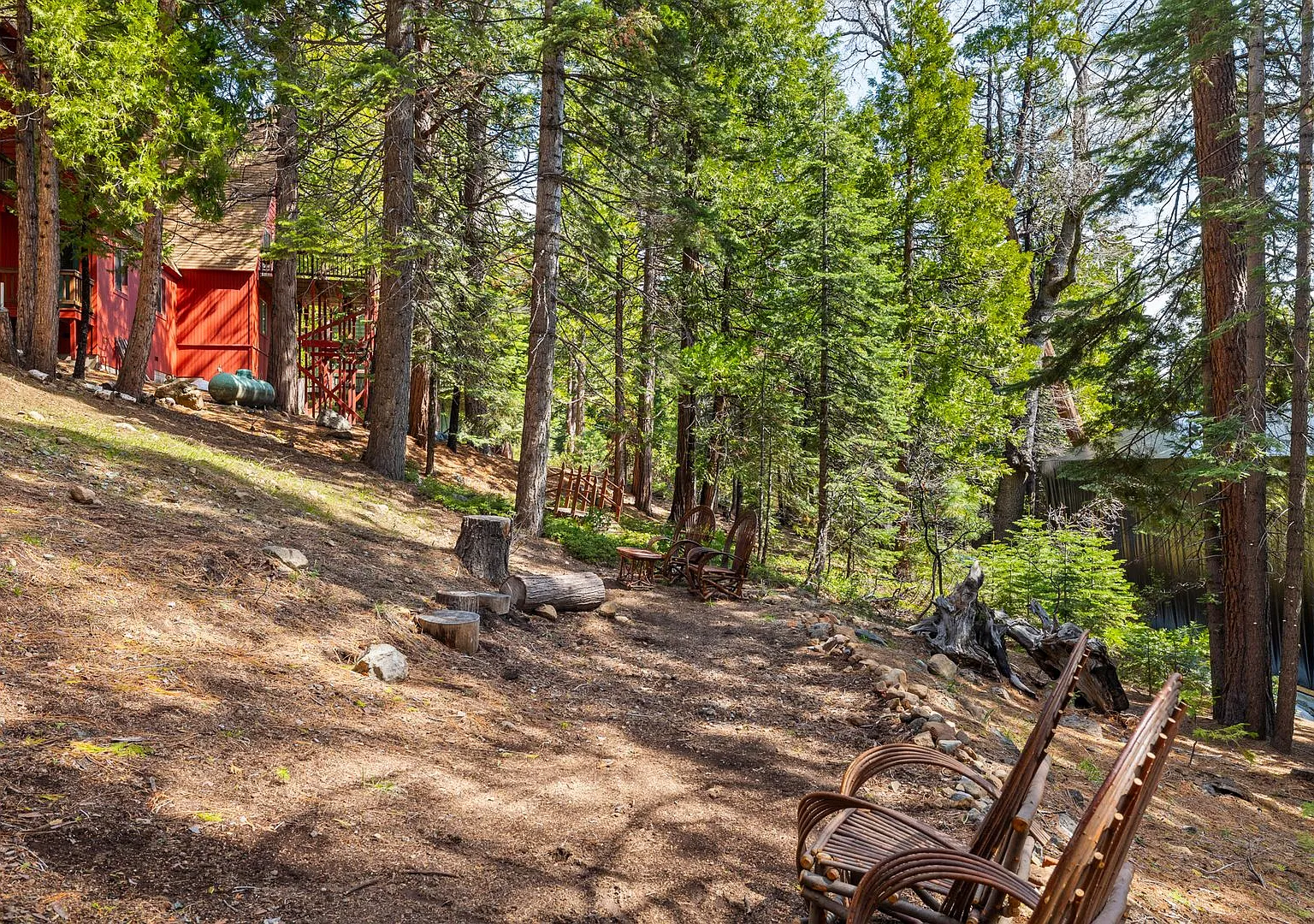 Charming 3-Bedroom, 2-Bath Home in Cold Springs — Photo 4