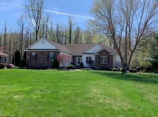 10782 Ellison Creek Dr, Painesville, OH 44077