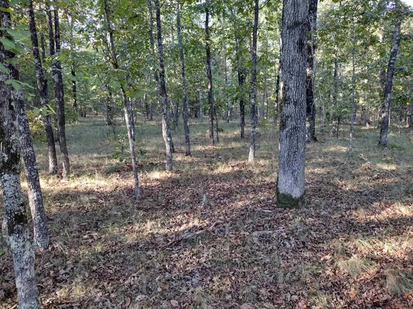 0 Arrowhead Rd, Mountain View, AR 72560