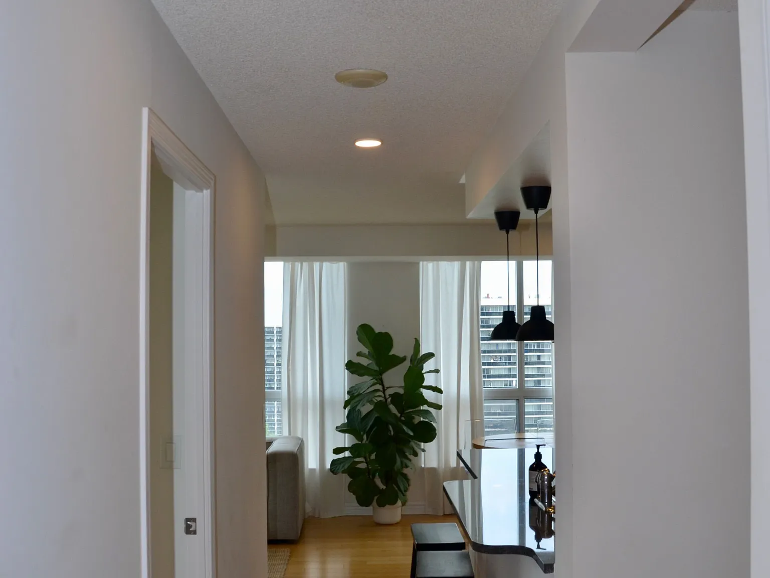 2 bed, $2,900 — Photo 4