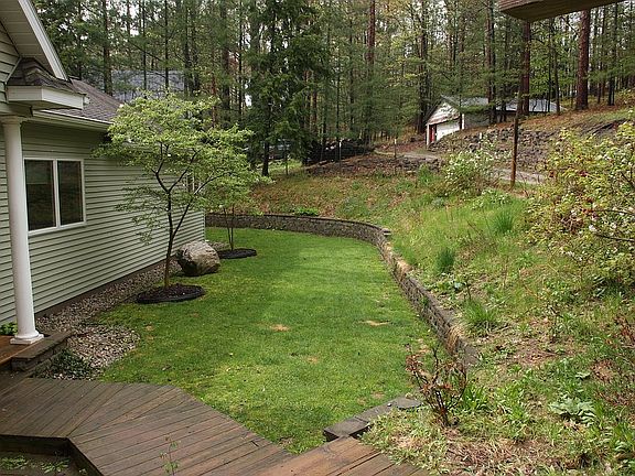Back yard