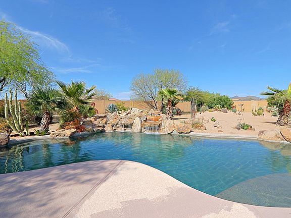 Backyard 5