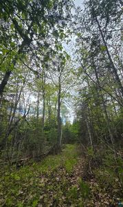 9790 S State Highway 35, Foxboro, WI, 54836