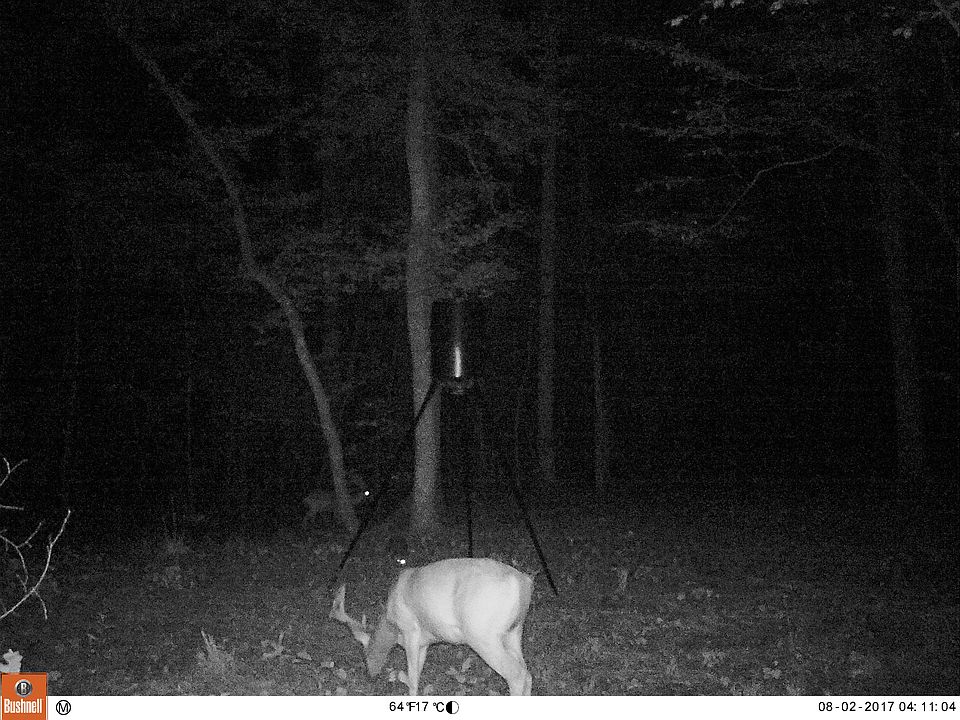 2nd image of 7000 Block House Rd
