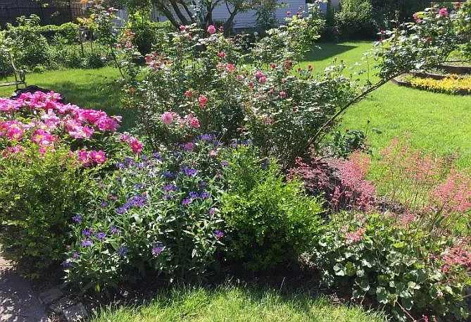 Professionally landscaped.