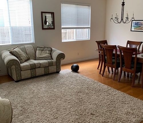 4th image of 2924 Cinnamon Teal Cir
