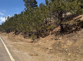 23 Eureka St, Central City, CO 80427