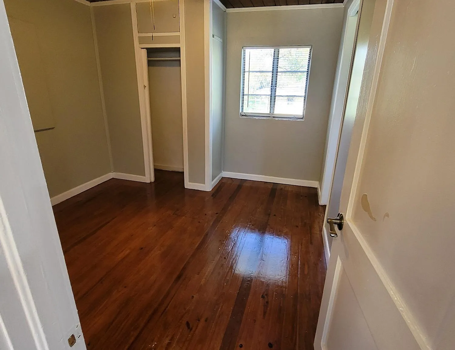 1 bed, 550 sqft, $1,100 — Photo 2