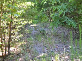 9 Cameron Point, Cleveland, GA 30528