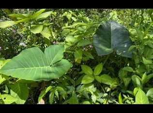 Pikake Rd LOT 516, Pahoa, HI 96778