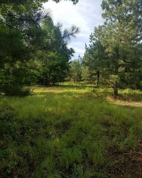 2nd image of 510 Broken Ridge Trl