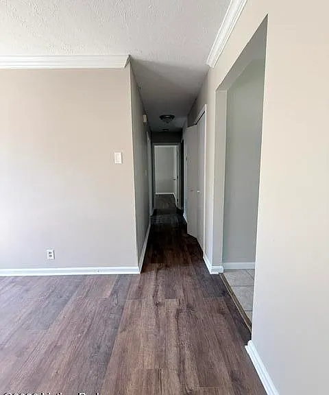 1514 Daverman Dr — Photo 3