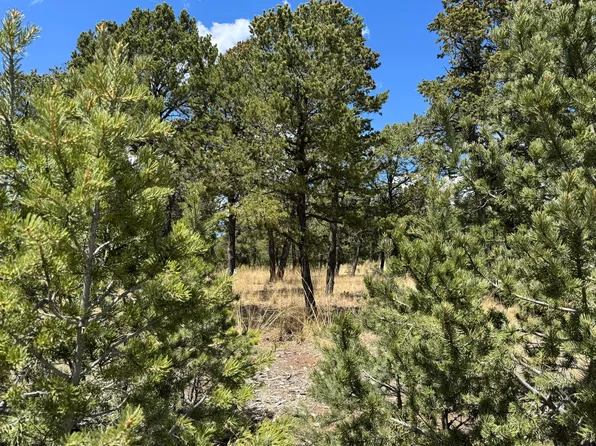 17 Wild Wing Cir, Pecos, NM 87552