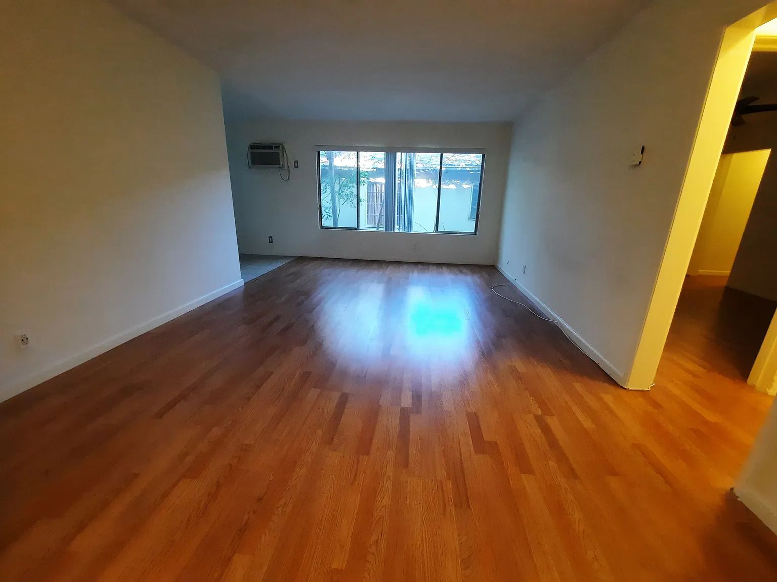 1 bed, 800 sqft, $1,895 — Photo 3