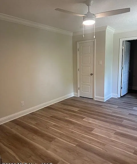 113 Forest St — Photo 16