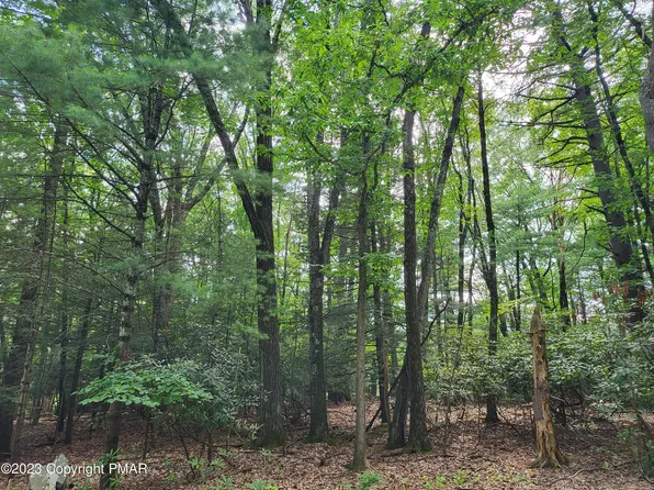 103 Cobble Creek Dr, Tannersville, PA 18372