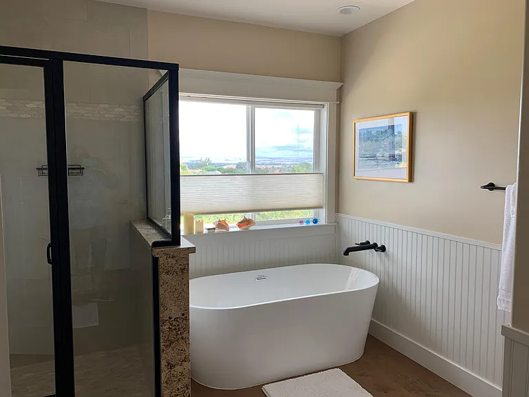 Primary tub and shower_views!