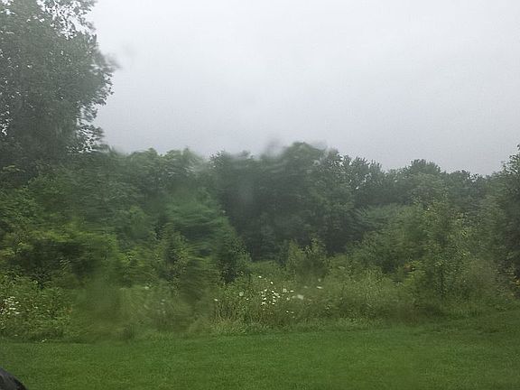 View - behind house
