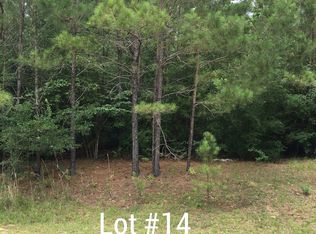 Stone Hollow Trce, Carrier, MS 39426