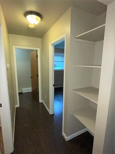 Hall storage, entry to bedroom, walk-in closet and bathroom