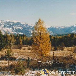 Montana Property