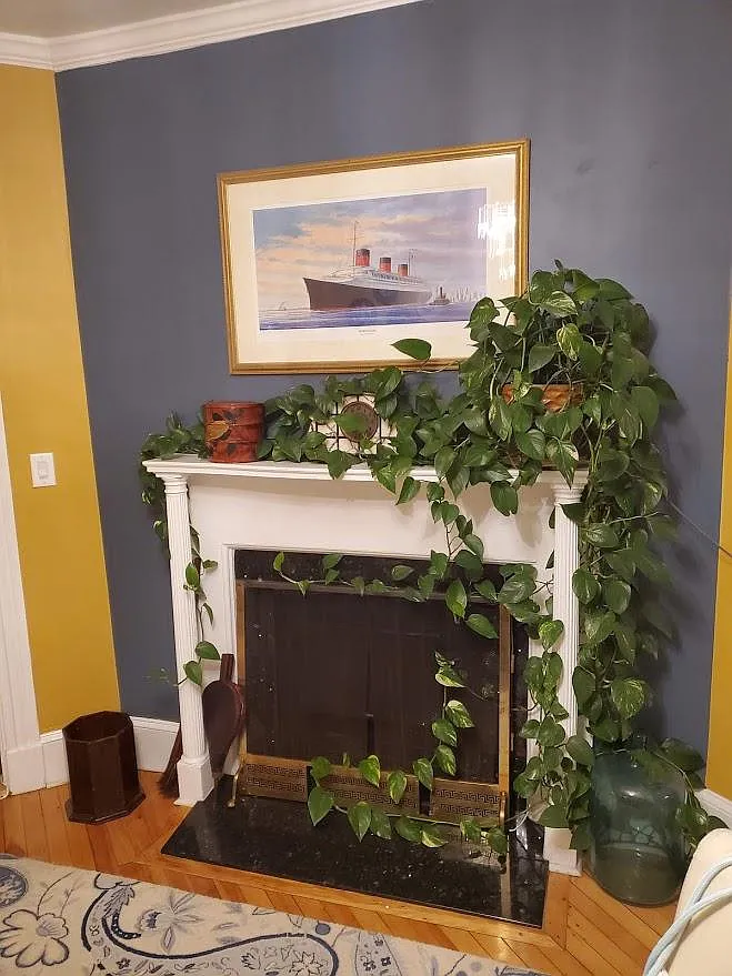 98 Dennison Ave — Photo 3
