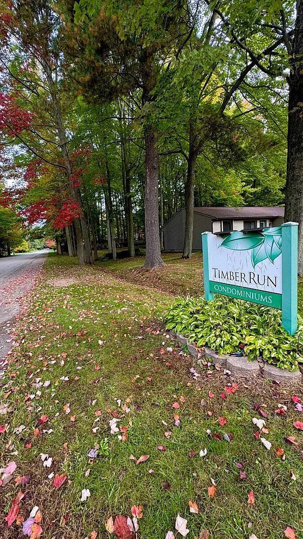 2 bed, 1.0 bath, $1,500 — Photo 3