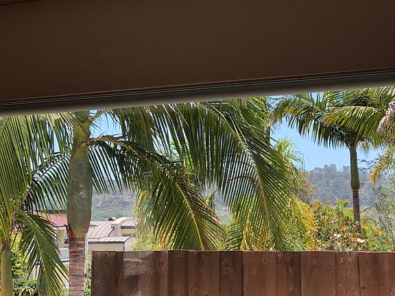 View of Torrey Pines out front window