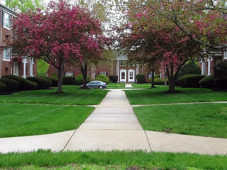 Lawn Village — Photo 3