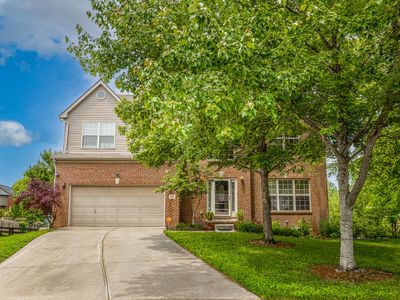 4201 Mattea Ct, Lexington, KY, 40514