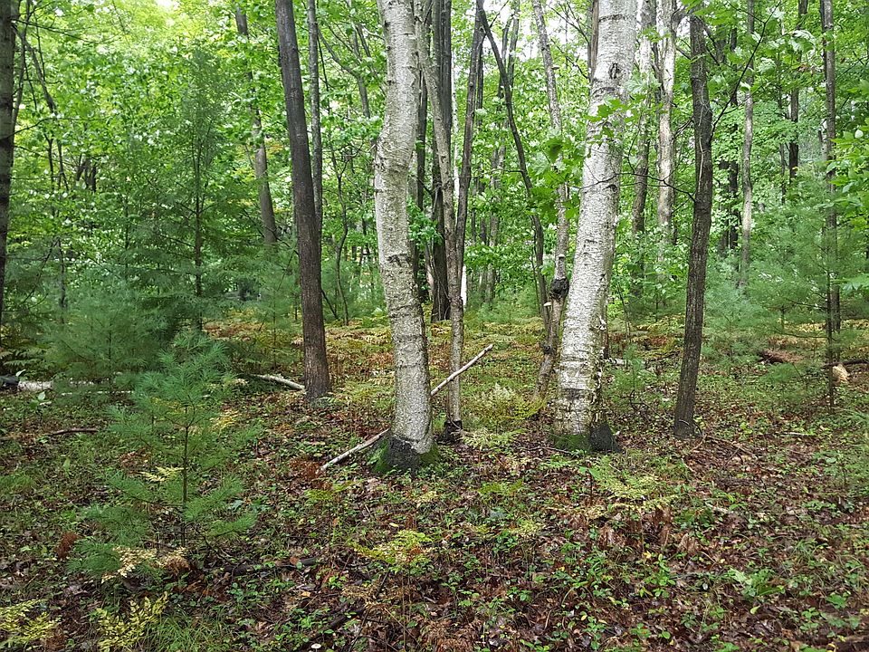 2nd image of 6670 Middleton Rd