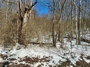 0 Newark Rd, Elizabeth, WV 26143