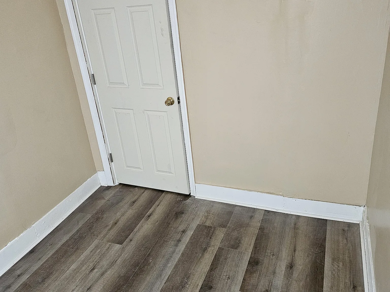 2 bed, 1100 sqft, $1,250 — Photo 3