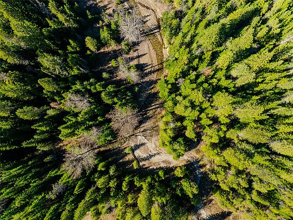 4th image of Nhn Pilgrim Creek Rd