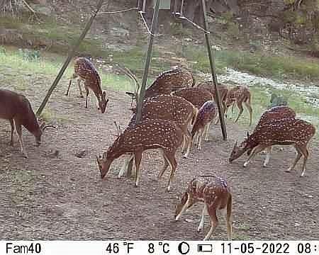 1st image of Fritz Rd