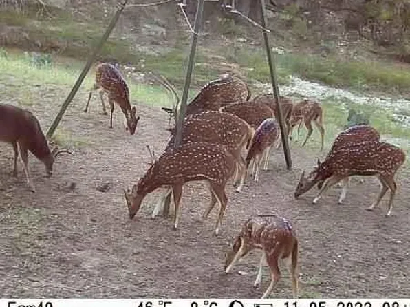 Fritz Rd, London, TX 76854