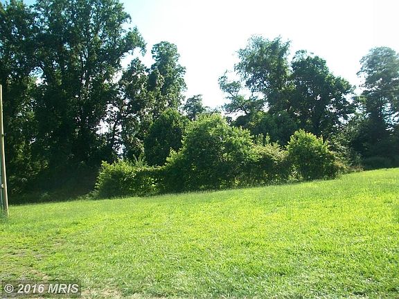 backs to trees....private