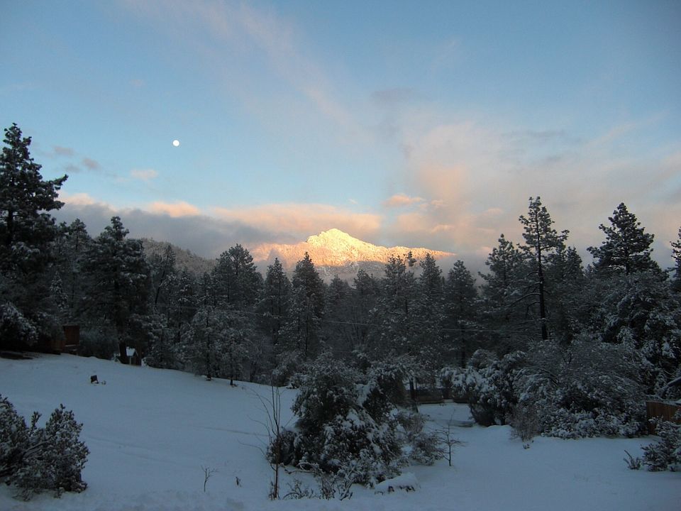 Winter Moon Rising