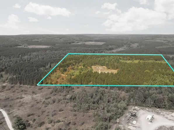 Lynn Lake Rd, Frederic, MI 49733
