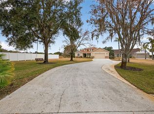 19902 Dolores Ann Ct, Lutz, FL 33549