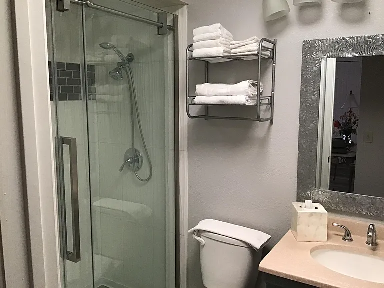 Guest bathroom with tiled Walk in shower.