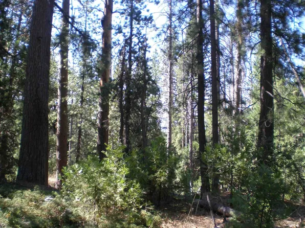 23 Nf #4N74, Twain Harte, CA 95383