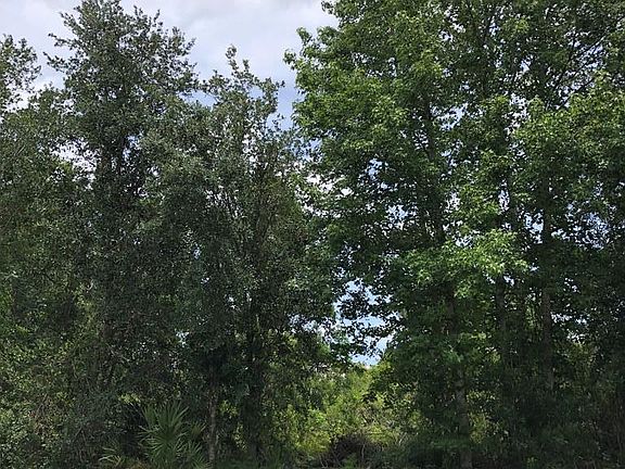 4th image of 11 Longview Ln