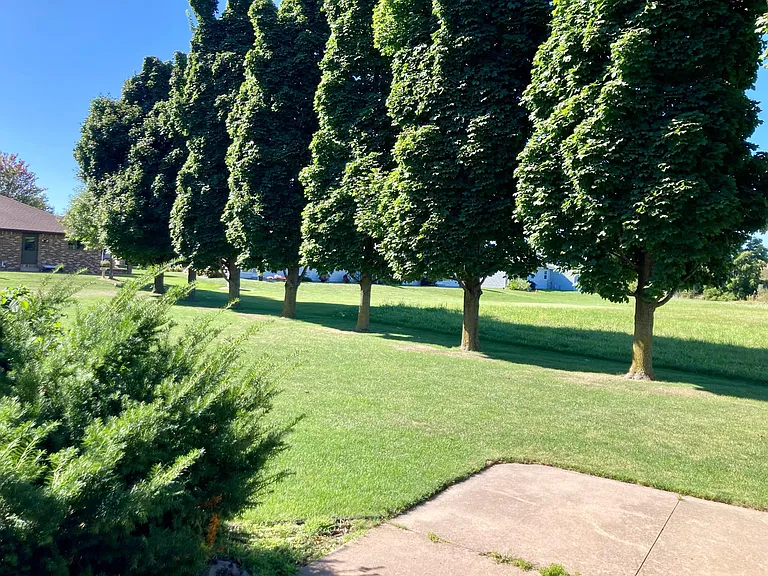 Large yard to enjoy!
