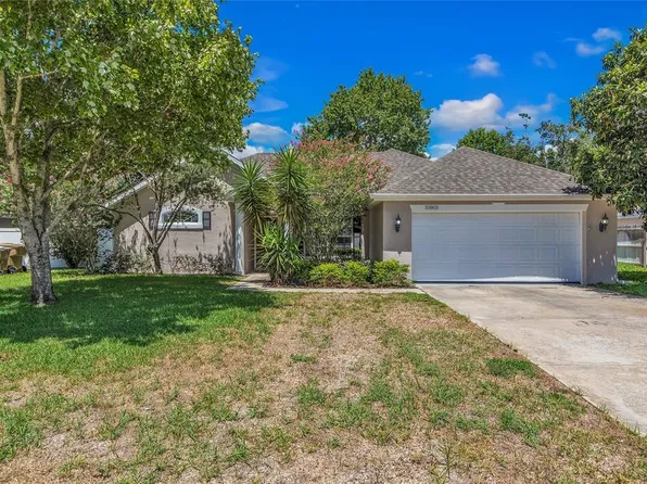 33803 Silver Pine Dr, Leesburg, FL 34788