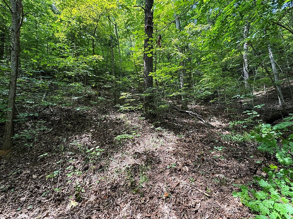 2nd image of 0 Saldeer Mountain Rd